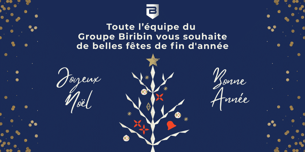 Toute l'équipe du groupe Biribin vous souhaite de très belles fêtes de fin d'année !